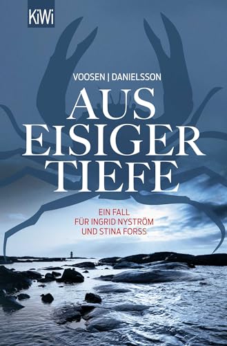Aus eisiger Tiefe: Ein Fall für Ingrid Nyström und Stina Forss von Kiepenheuer & Witsch GmbH